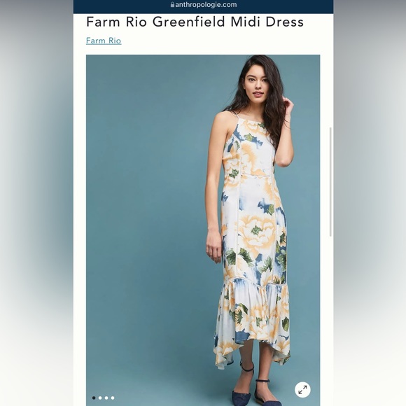 Anthropologie Farm Rio Dress Small - Picture 6 of 11